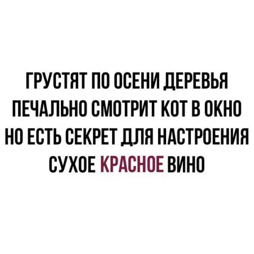 ГРУСТЯТ ПО ОСЕНИ ДЕРЕВЬЯ ПЕЧАЛЬНО СМОТРИТ КОТ В ОКНО НО ЕСТЬ СЕКРЕТ ДЛЯ НАСТРОЕНИЯ СУХОЕ КРАСНОЕ ВИНО