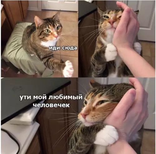 ути мой любимый человечек