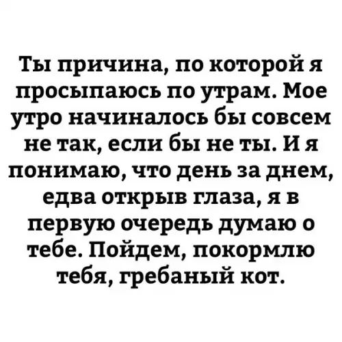 Ты причина по которой я просыпаюсь по утрам Мое утро начиналось бы совсем не так если бы не ты И я понимаю что день за днем едва открыв глаза я в первую очередь думаю о тебе Пойдем покормлю тебя гребаный кот