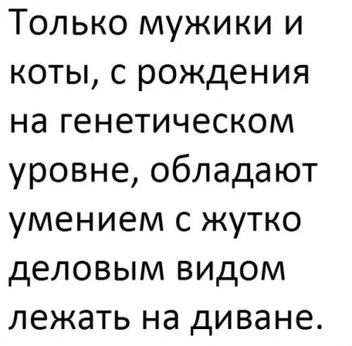 Только мужики и коты с рождения на генетическом уровне обладают умением с жутко деловым видом лежать на диване