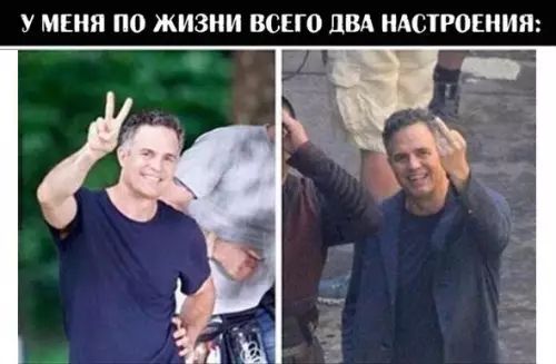 У МЕНЯ ПО ЖИЗНИ ВСЕГО ДВА НАСТРОЕНИЯ