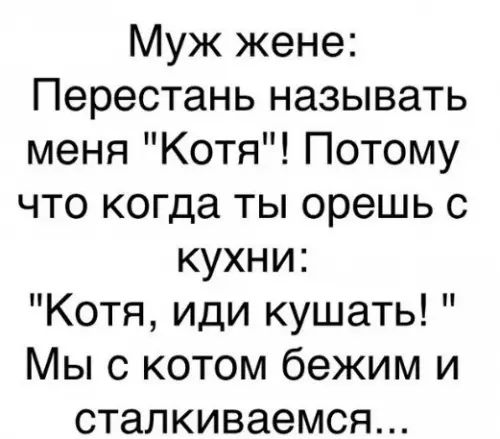 Муж жене Перестань называть меня Котя Потому что когда ты орешь с кухни Котя иди кушать Мы с котом бежим и сталкиваемся