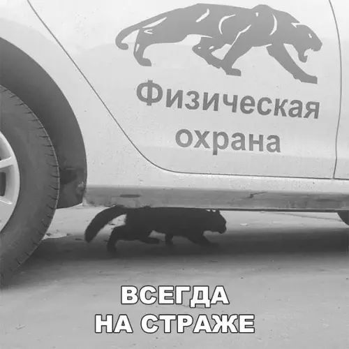 НАТСТРАЖЕ