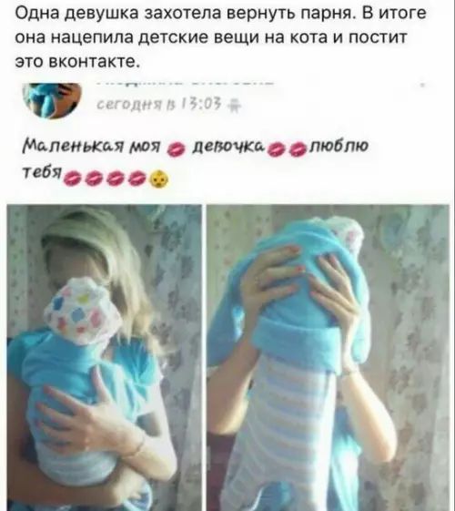 Одна девушка захотела вернуть парня В итоге она нацепила детские вещи на кота и постит это вконтакте Меленькая моя девочко ф люблю тебя