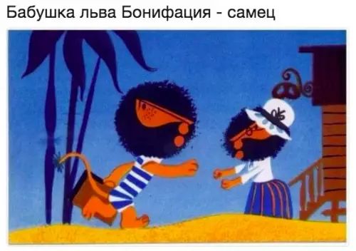Бабушка льва Бонифация самец