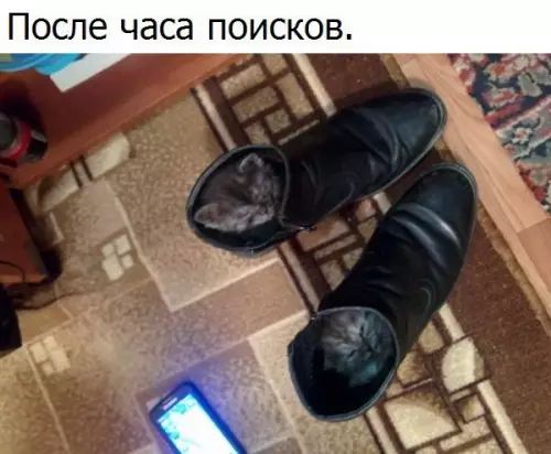 После часа поисков