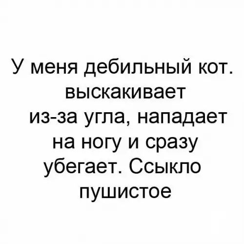 У меня дебильный кот выскакивает из за угла нападает на ногу и сразу убегает Ссыкло пушистое