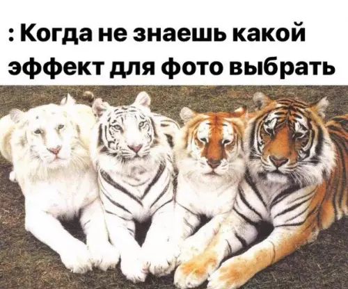 Когда не знаешь какой эффект для фото выбрать