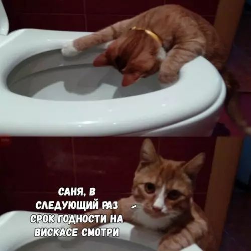 САНЯ В СЛЕДУЮЩИЙРАЗЛИ 4
