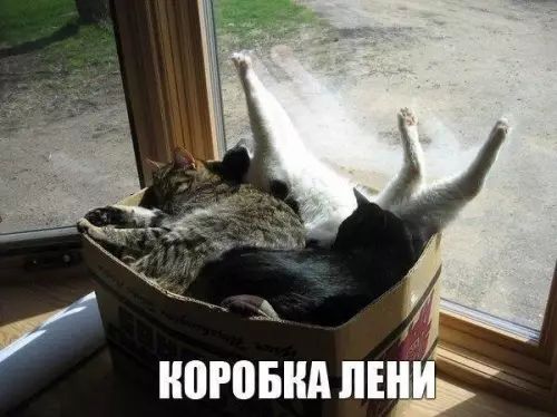 КОРОБКА ЛЕНИ