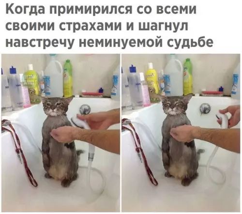 Когда примирился со всеми своими страхами и шагнул навстречу неминуемой судьбе ж