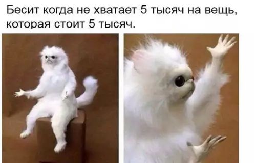 Бесит когда не хватает 5 тысяч на вещь которая стоит 5 тысяч