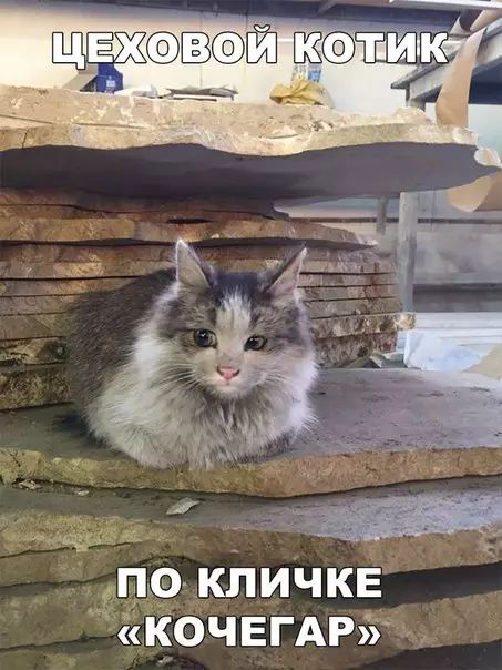 по КЛИЧКЕ КОЧЕГАРУФ