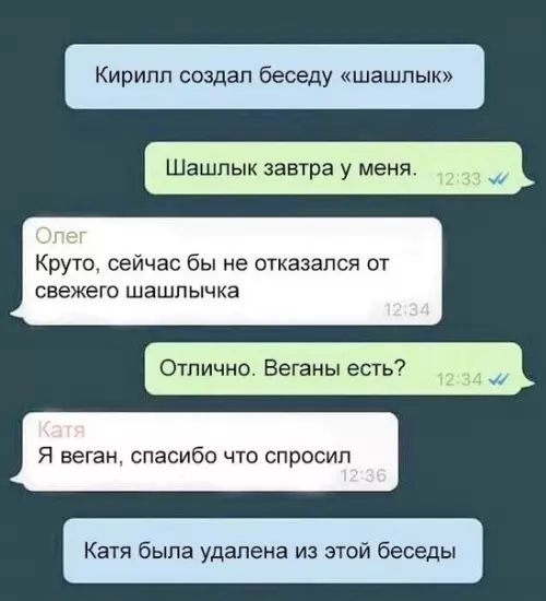 илл создал беседу шашлык Шашлык завтра у меня _ Круто сейчас бы не отказался от свежего шашлычка Отлично Веганы есть Я веган спасибо что спросил Катя была удалена из этой беседы