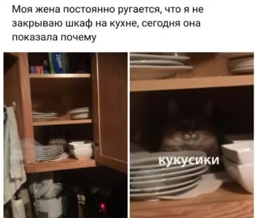 Моя жена постоянно ругается что я не закрываю шкаф на кухне сегодня она показала почему