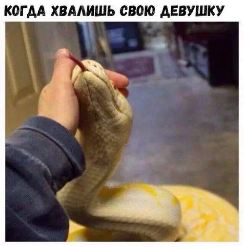 КОГДА ХВАЛИШЬ СВОЮ ДЕВУШКУ