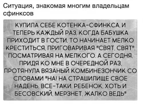 Ситуация знакомая многим владельцам сфинксов КУПИЛА СЕБЕ КОТЕНКА СФИНКСА И ТЕПЕРЬ КАЖДЫЙ РАЗ КОГДА БАБУШКА ПРИХОДИТ В ГОСТИ ТО НАЧИНАЕТ МЕЛКО КРЕСТИТЬСЯ ПРИГОВАРИВАЯ СВЯТ СВЯТ ПОСМАТРИВАЯ НА МЕЛКОГО А СЕГОДНЯ ПРИДЯ КО МНЕ В ОЧЕРЕДНОЙ РАЗ ПРОТЯНУЛА ВЯЗАНЫЙ КОМБИНЕЗОНЧИК СО СЛОВАМИ НА НА СТРАШИЛИЩЕ СВОЕ в НАДЕНЬ ВСЕ ТАКИ РЕБЕНОК ХОТЬИ БЕСОВСКИЙ МЕРЗН