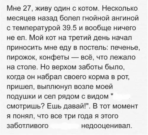 Мне 27 живу один с котом Несколько месяцев назад болел гнойной ангиной с температурой 395 и вообще ничего не ел Мой кот на третий день начал приносить мне еду в постель печенье пирожок конфеты всё что лежало на столе Но верхом заботы было когда он набрал своего корма в рот пришел выплюнул возле моей подушки и сел рядом с видом смотришь Ешь давай В 