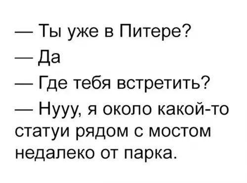 Ты уже в Питере Да Где тебя встретить Нууу я около какой то статуи рядом с мостом недалеко от парка