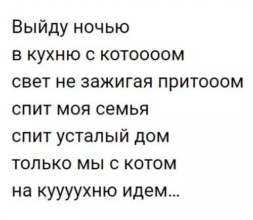 Выйду ночью в кухню с котоооом свет не зажигая притооом спит моя семья спит усталый дом только мы с котом на куууухню идем