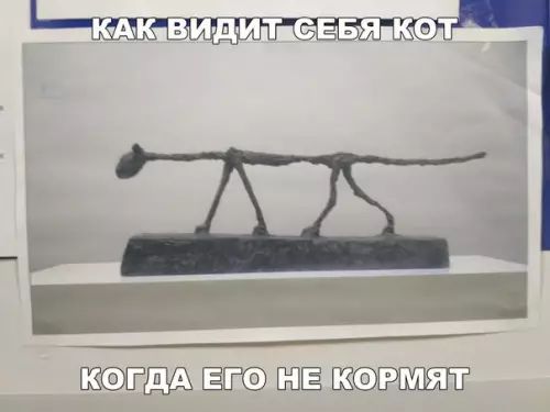 КОПДАЧЕТО НЕЙКОРМЯТ