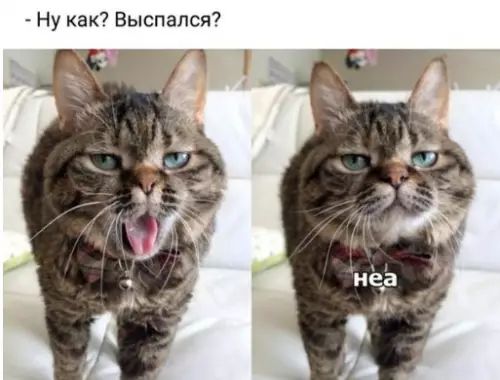 Ну как Выспался