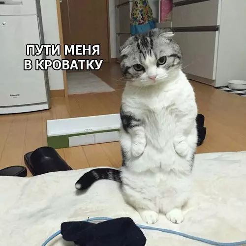 путмвня ВКРОВАТКУ РИ ЛЫ е