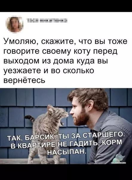 14 нн ай Умоляю скажите что вы тоже говорите своему коту перед выходом из дома куда вы уезжаете и во сколько вернётесь е ЁЕг_ УУ Вр уе иза и ТАК БАЁЕСИК_Ы ЗА СТАРШЕ В КВАРТИРЕ НЕ РАДИТЬ КОРМ Ё ЁСЫПАН СУЛА н