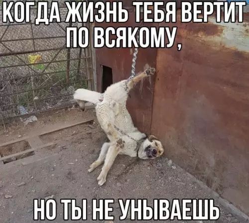 КПГДА ЖИЗНЬ ТЕБЯ ВЕРТЙТЁ ПП ВСЯКОМУ НОТЫ НЕ УНЫВАЕШЬ