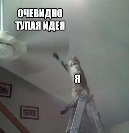 ТУПАЯ ИДЕЯ