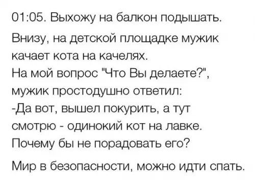 0105 Выхожу на балкон подышать Внизу на детской площадке мужик качает кота на качелях На мой вопрос Что Вы делаете мужик простодушно ответил Да вот вышел покурить а тут смотрю одинокий кот на лавке Почему бы не порадовать его Мир в безопасности можно идти спать