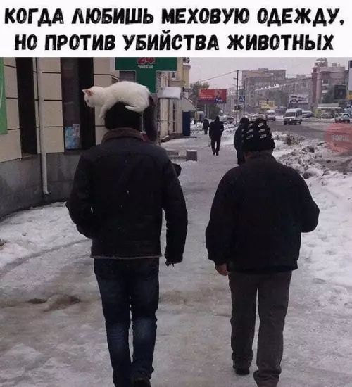 КОГДА ЛЮБИШЬ МЕХОВУЮ ОДЕЖДУ