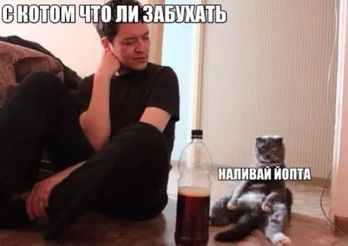 КОТОМ ТО ДЦДПШ