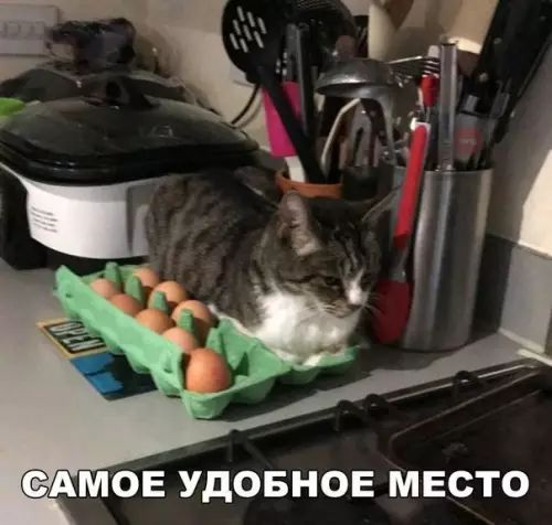 ОЕ УДОБНОЕ МЕСТО