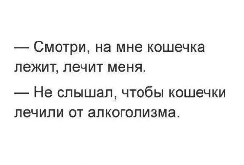 СМОТРИ на мне кошечка лежит лечит меня Не слышал чтобы кошечки лечили от алкоголизма