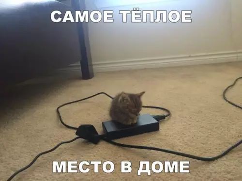 МЕСТО В ДОМЕ