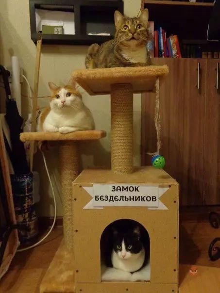 замок БЕздЕЛЬНИКОВ