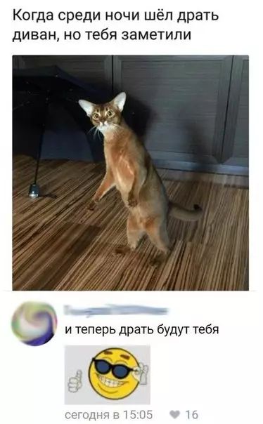 Когда среди ночи шёл драть диван но тебя заметили