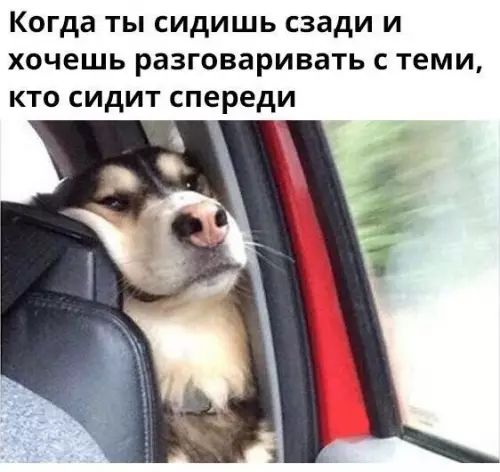 Когда ты сидишь сзади и хочешь разговаривать с теми кто сидит спереди