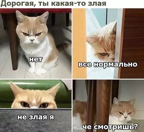 дорогая ты какая то злая