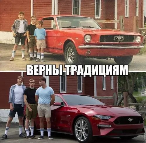 я ВЕРНЫ ТРПДИШЩМ 18