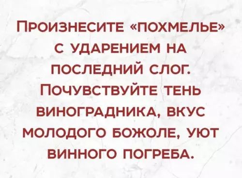 ПРОИЗНЕСИТЕ ПОХМЕЛЬЕ С УДАРЕНИЕМ НА ПОСЛЕДНИЙ СЛОГ ПОЧУВСТВУЙТЕ ТЕНЬ ВИНОГРАДНИКА ВКУС МОЛОДОГО БОЖОЛЕ УЮТ ВИННОГО ПОГРЕБА