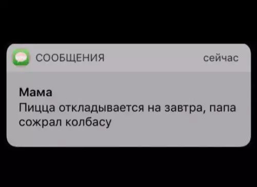 СООБЩЕНИЯ сейча Мама Пицца откладывается на завтра папа сожрал колбасу