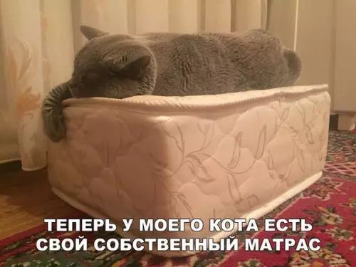 ТЕПЕРЬ У МОЕ СВОЙ СОБСТВЕ