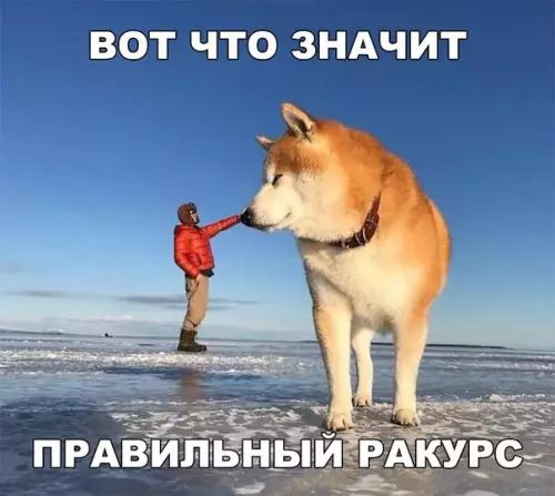 ВОТ ЧТО ЗНАЧИТ