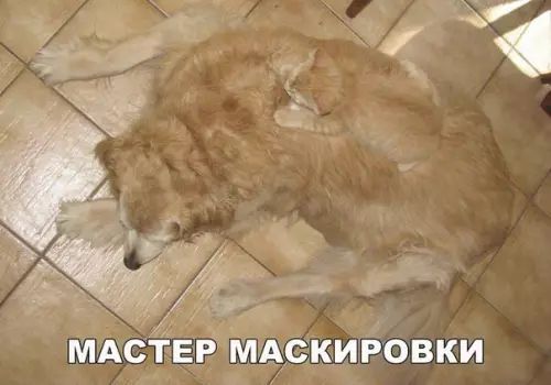 МАСТЕР МАСКИРОВКИ