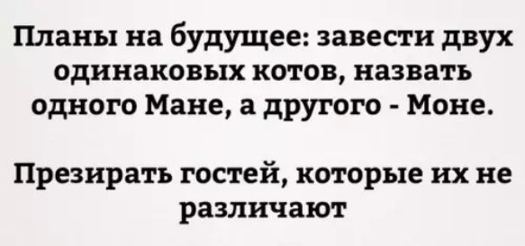 Планы на будущее завести двух одинаковых котов назвать одного Мане а другого Моне Презирать гостей которые их не различают