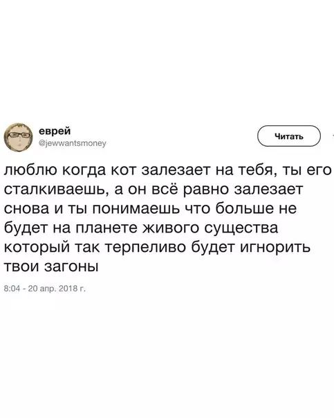 а Р С люблю когда кот залезает на тебя ты его сталкиваешь а он всё равно залезает снова и ты понимаешь что больше не будет на планете живого существа который так терпеливо будет игнорить твои загоны 04 20 апр 2018г