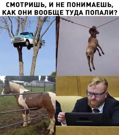 СМОТРИШЬ И НЕ ПОНИМАЕШЬ КАК ОНИ ВООБЩЕ ТУДА ПОПАЛИ