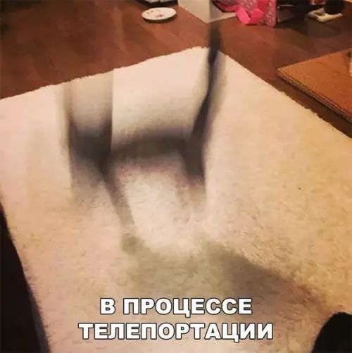 3 ПРЭЦЕССЕ ТТЕЛЕПОРТАЩИИ _